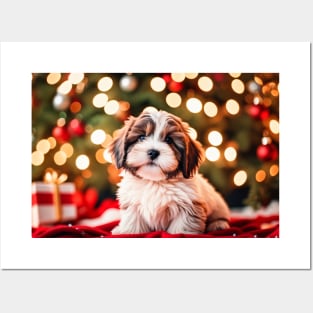 Cute Havanese Puppy Dog by Christmas Tree Posters and Art